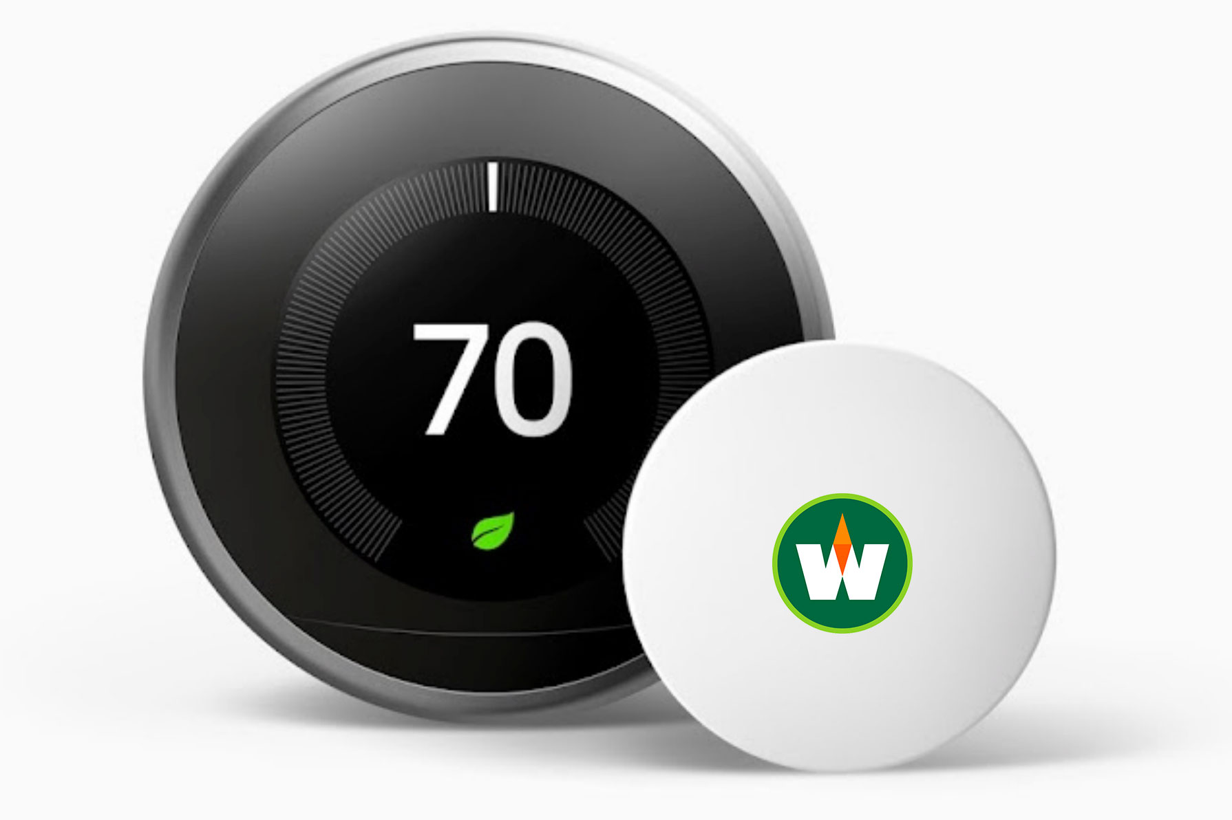 nest_walleys_hq